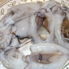 DAL MARE. La seppia