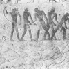 DAL MARE. L'acquacoltura