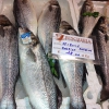 DAL MARE. ll brazino/la spigola