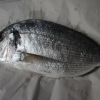 DAL MARE. L'orata