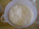 Il lievito naturale liquido. Fasi di preparazione (2)