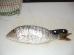 DAL MARE. La mormora