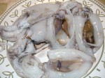 DAL MARE. La seppia