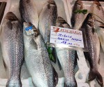 DAL MARE. ll brazino/la spigola