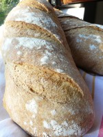 PDF: IL PANE