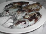 DAL MARE. Pulire la seppia. Prima parte