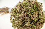 Erbe aromatiche: ORIGANO – come utilizzarlo