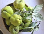 Confettura e marmellata – La pectina