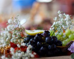 morrow-solutions-cfnEVytS8Ro-unsplash morrow-solutions-cfnEVytS8Ro-unsplash